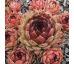 Sempervivum ROSANII