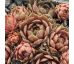 Sempervivum PACIFIC BLUE ICE