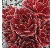 Sempervivum SUMMER SYMPHONY