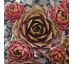 Sempervivum WAX LYRICAL