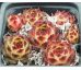 Sempervivum calcareum ex guillaume