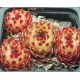 Sempervivum ITALIA