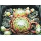 Sempervivum FORD`S GIANT