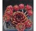 Sempervivum FLIRT